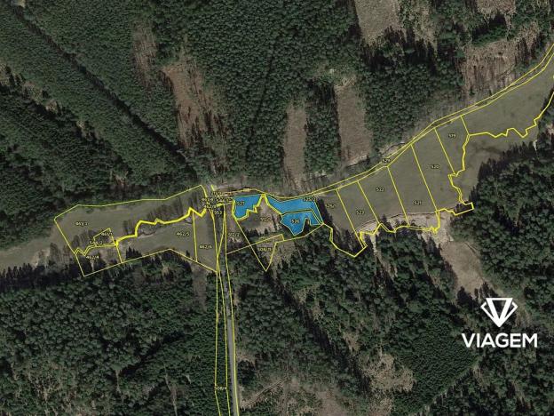 Prodej podílu lesa, Radenín, 239 m2