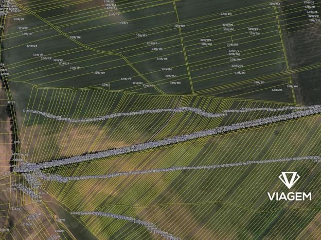 Prodej podílu pole, Prušánky, 307 m2