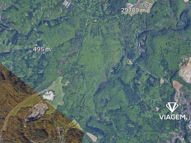 Prodej lesa, Brno, 1709 m2