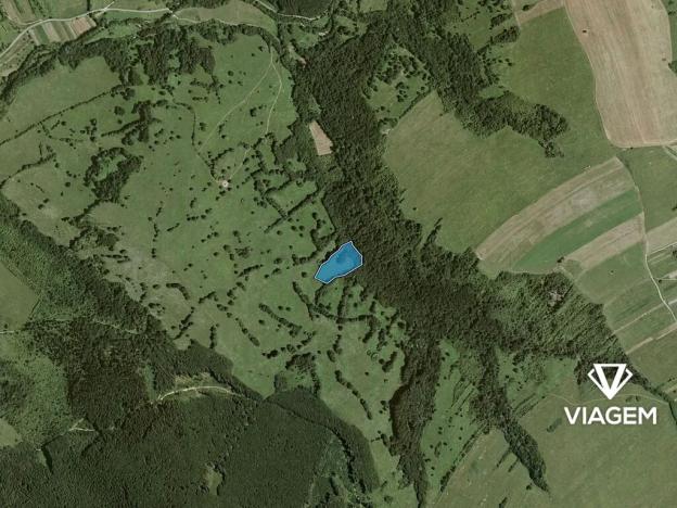 Prodej podílu pole, Javorník, 2814 m2