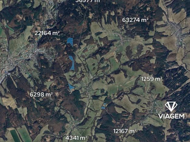 Prodej podílu lesa, Luhačovice, 8222 m2