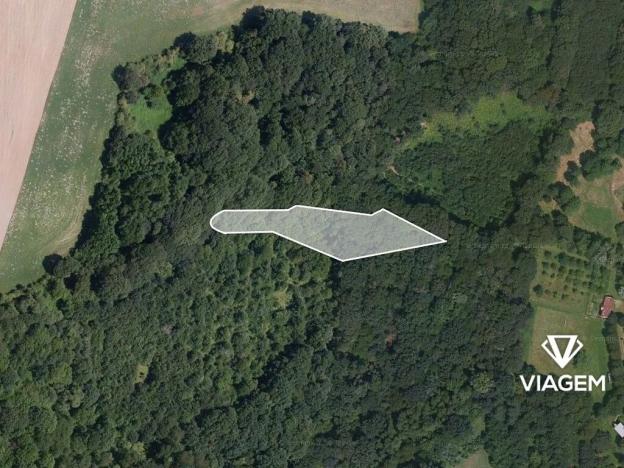 Prodej podílu lesa, Lhota, 275 m2