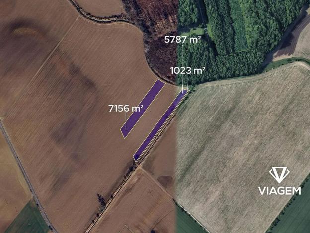 Prodej podílu pole, Střížovice, 1163 m2