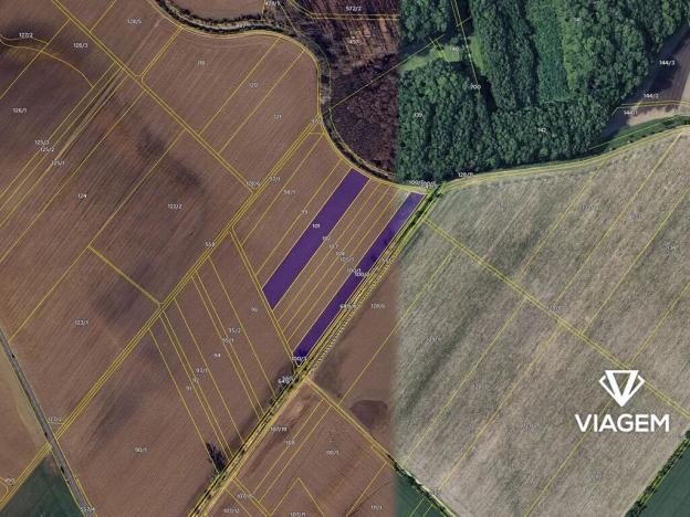 Prodej podílu pole, Střížovice, 1163 m2