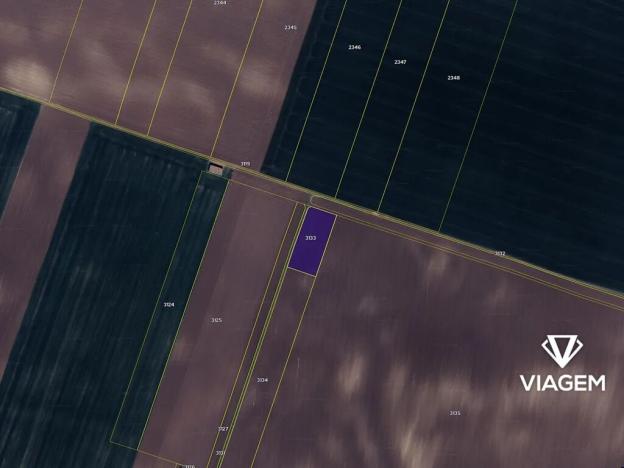 Prodej pole, Troskotovice, 4800 m2