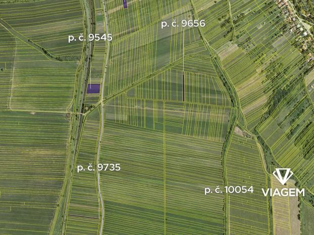 Prodej podílu pole, Javorník, 2559 m2