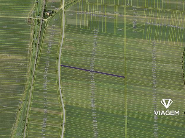 Prodej podílu pole, Javorník, 1352 m2