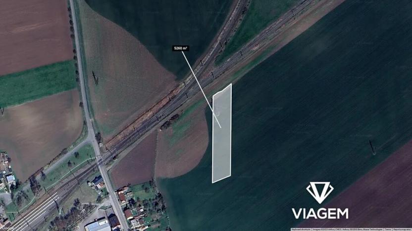 Prodej pole, Víceměřice, 5260 m2