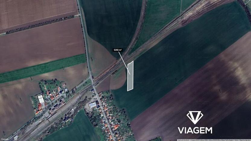 Prodej pole, Víceměřice, 5260 m2