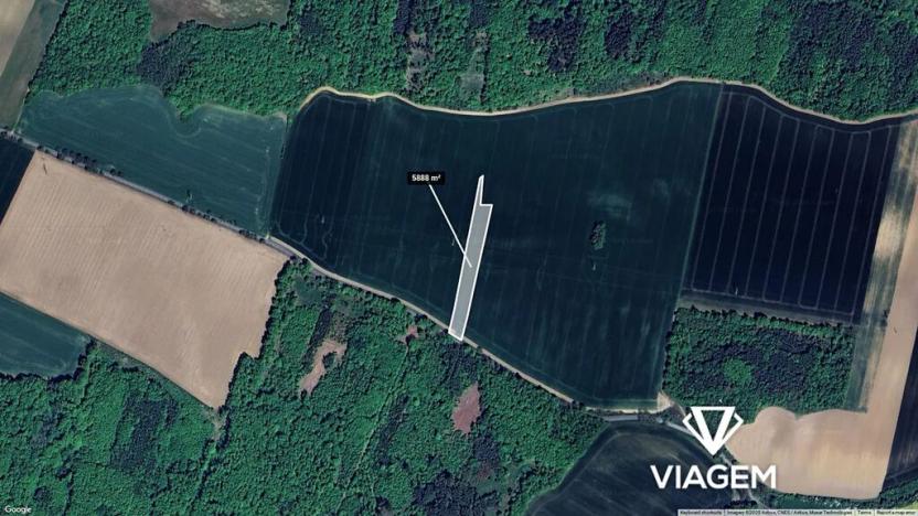 Prodej pole, Nová Ves, 5888 m2