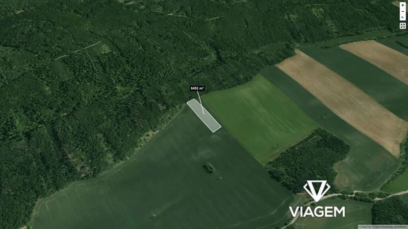 Prodej pole, Nová Ves, 6491 m2