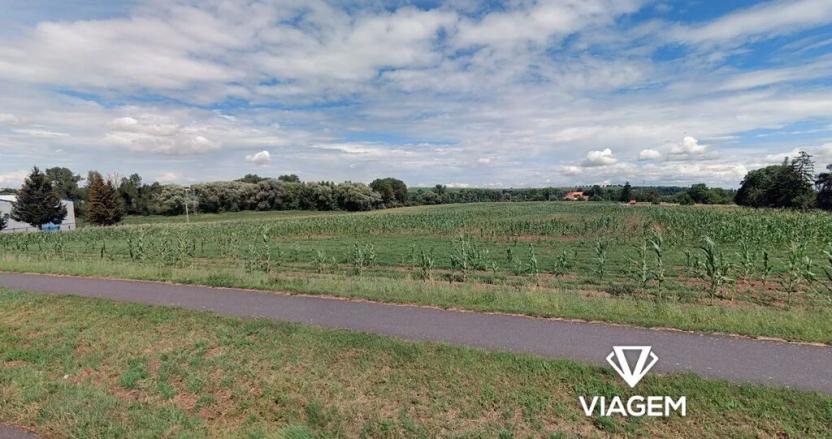 Prodej pole, Víceměřice, 5054 m2