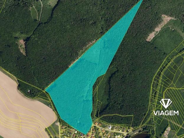 Prodej podílu lesa, Fryšták, 5483 m2