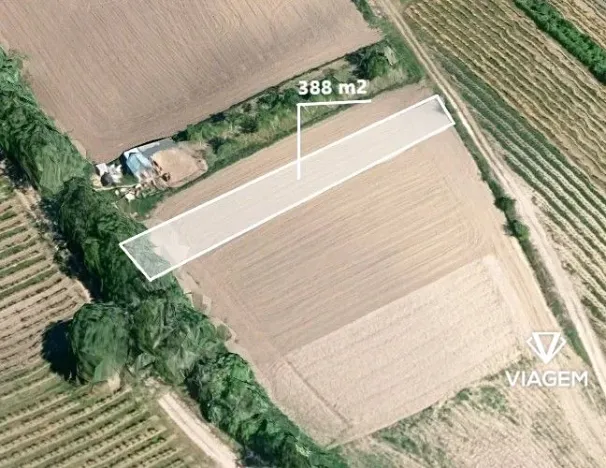 Prodej zahrady, Velké Bílovice, 388 m2