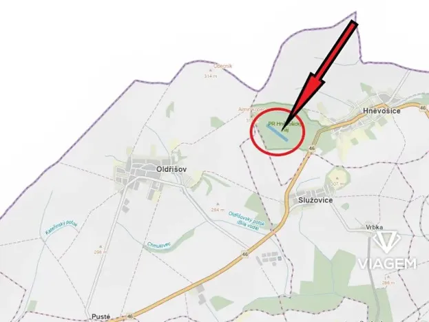 Prodej lesa, Hněvošice, 18551 m2