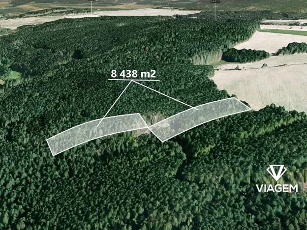 Prodej podílu lesa, Manětín, 4219 m2