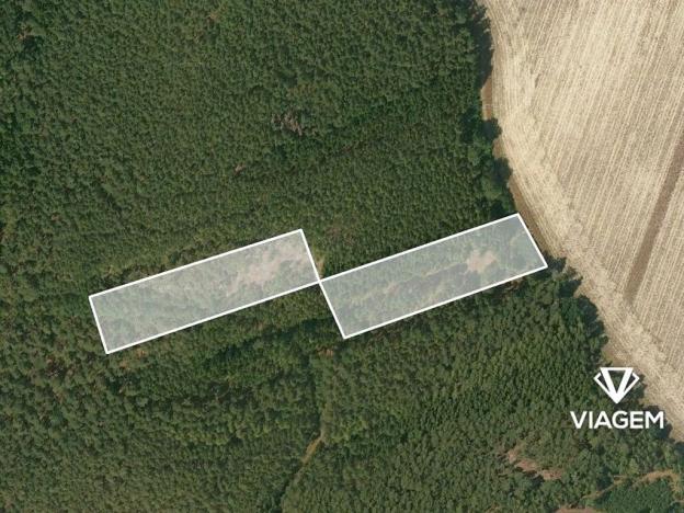 Prodej podílu lesa, Manětín, 4219 m2