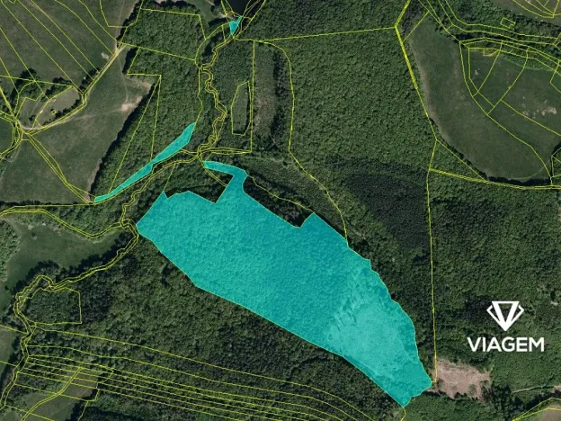 Prodej podílu lesa, Bojkovice, 647 m2