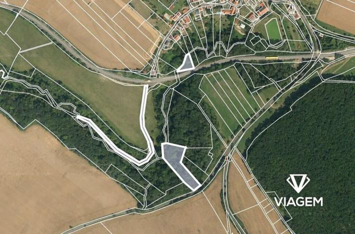 Prodej podílu lesa, Horní Řepčice, 3511 m2