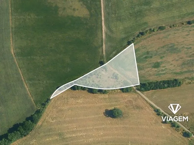 Prodej pole, Tachlovice, 5421 m2