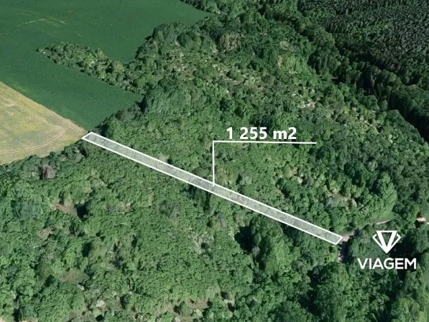 Prodej lesa, Březolupy, 1255 m2