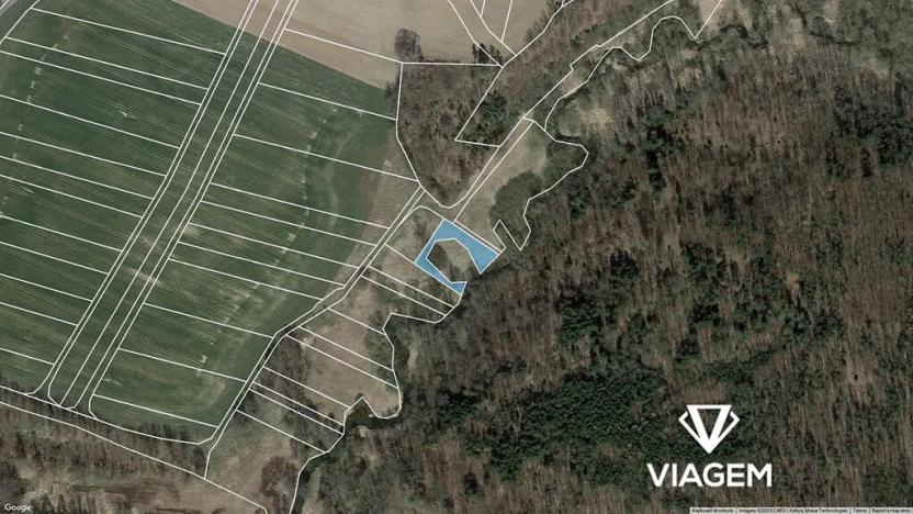 Prodej podílu pole, Klenovice, 577 m2