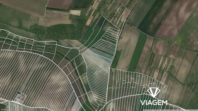 Prodej podílu pole, Brumovice, 861 m2