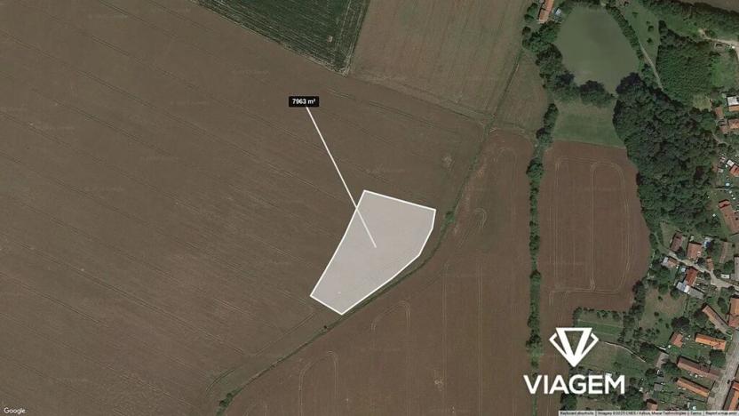 Prodej podílu pole, Jankovice, 3981 m2