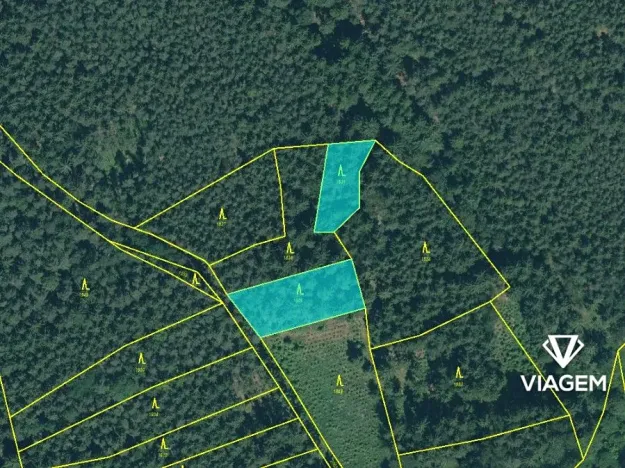 Prodej lesa, Bílov, 2331 m2