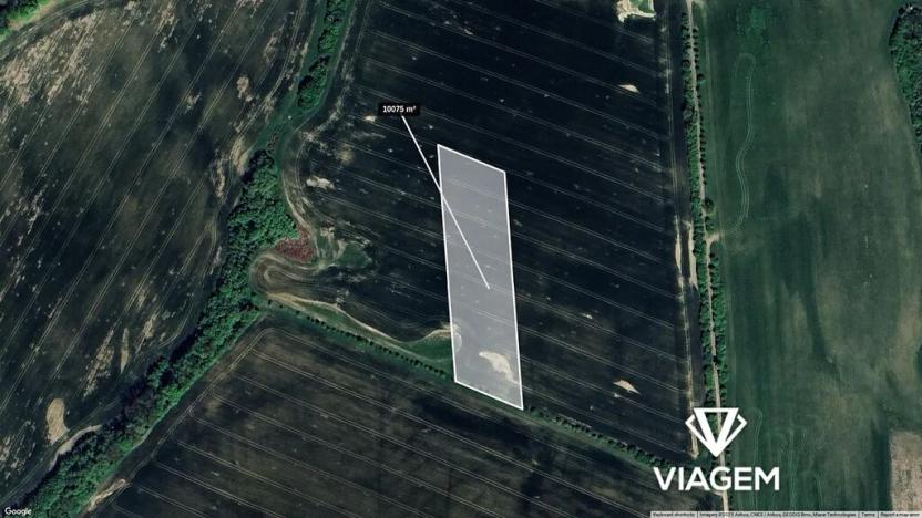 Prodej podílu pole, Soběchleby, 5037 m2