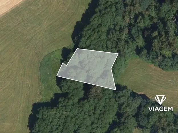 Prodej podílu lesa, Roprachtice, 684 m2