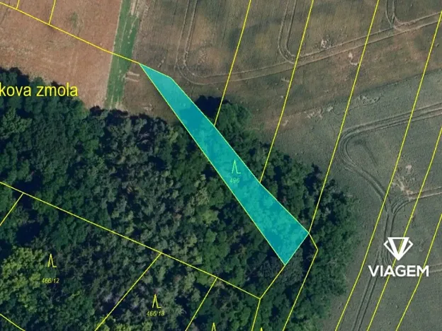 Prodej podílu lesa, Tulešice, 3694 m2