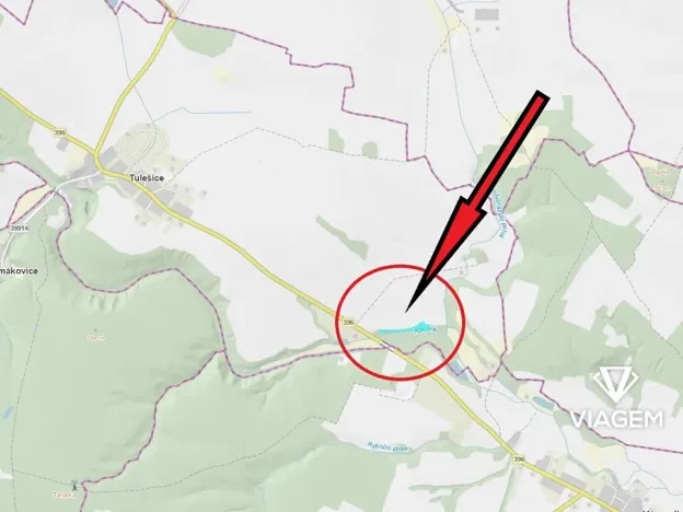 Prodej podílu lesa, Tulešice, 3694 m2