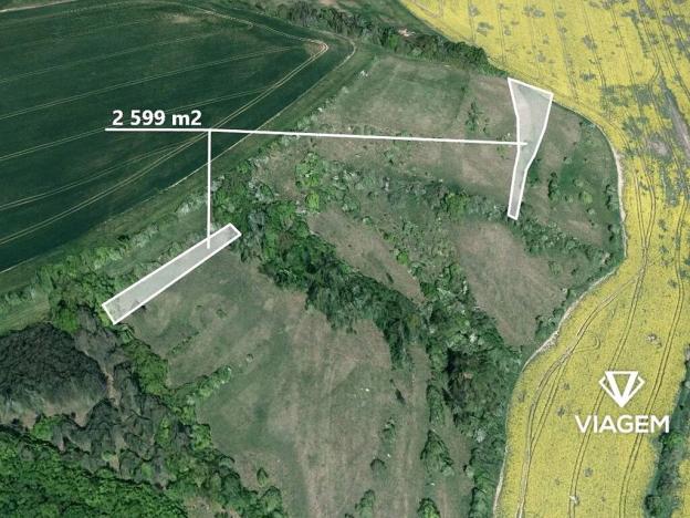 Prodej podílu pole, Nevojice, 1299 m2