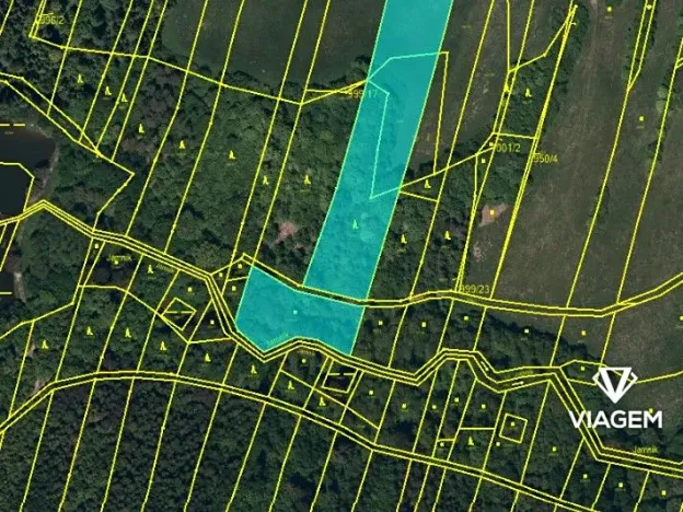 Prodej lesa, Těškovice, 5485 m2