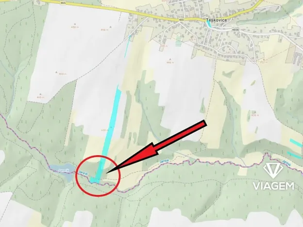 Prodej lesa, Těškovice, 5485 m2