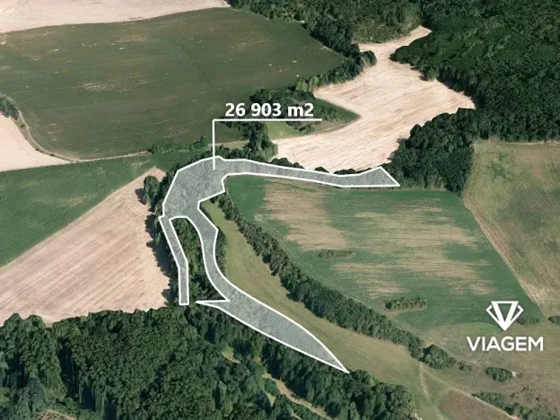 Prodej podílu lesa, Tulešice, 2069 m2