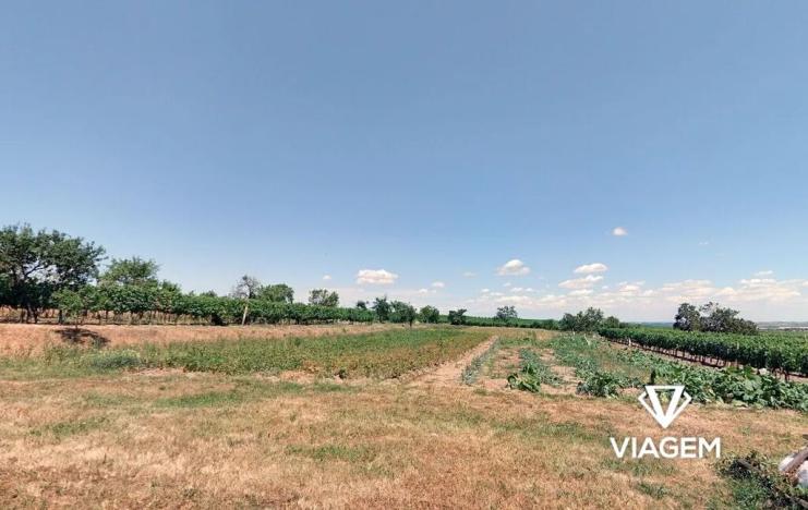 Prodej zahrady, Havraníky, 3121 m2