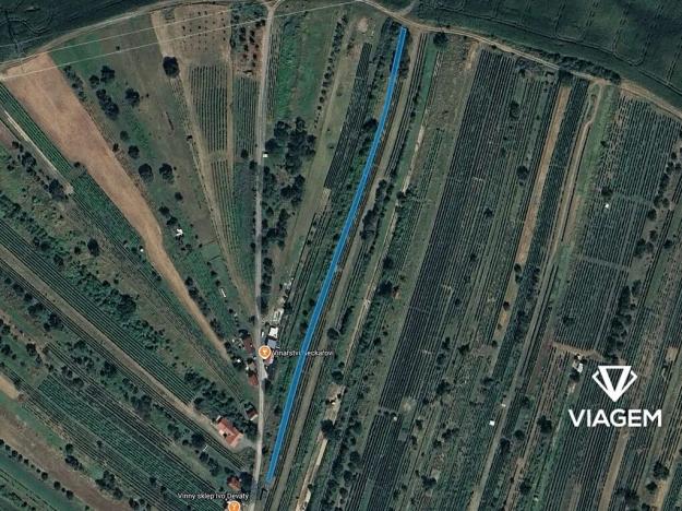 Prodej podílu sadu/vinice, Mutěnice, 511 m2