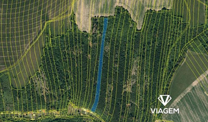 Prodej lesa, Hradec nad Moravicí, 7763 m2