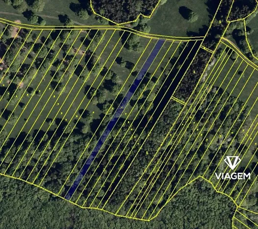 Prodej podílu pole, Slavkov, 1895 m2