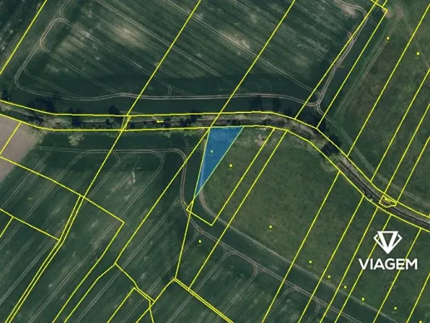 Prodej podílu pole, Dašice, 422 m2