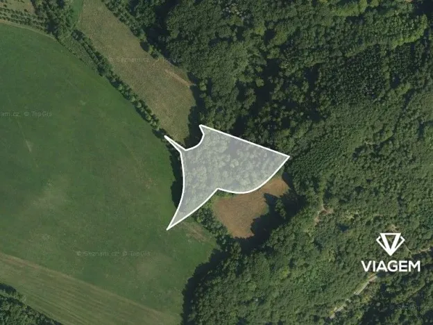 Prodej podílu lesa, Městečko Trnávka, 609 m2