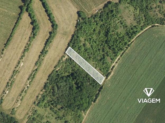 Prodej podílu louky, Kobylí, 1108 m2