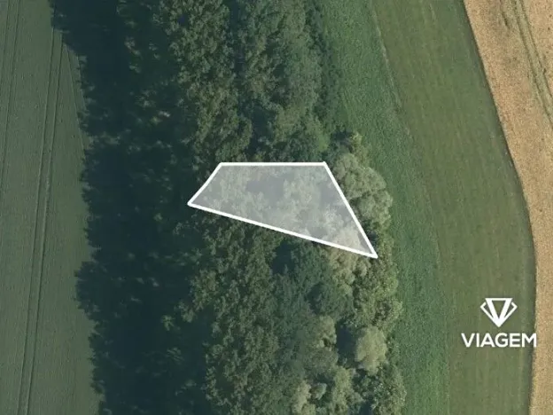 Prodej podílu lesa, Starý Jičín, 311 m2