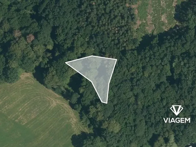 Prodej podílu lesa, Lešná, 311 m2