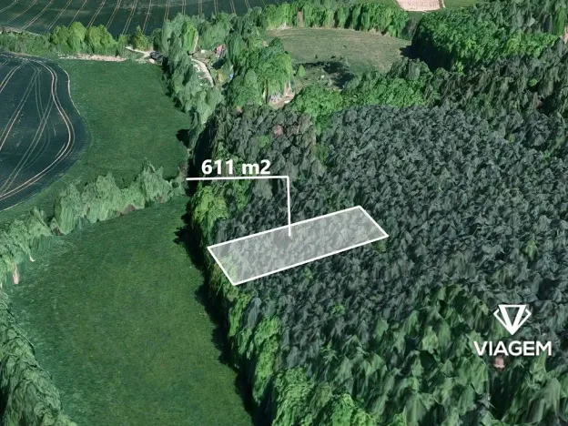 Prodej lesa, Vlkančice, 611 m2