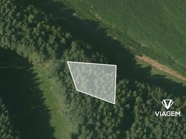 Prodej podílu lesa, Krásná Hora, Kojkovice, 598 m2