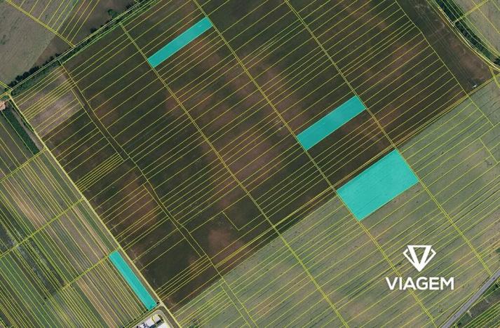 Prodej podílu pole, Hrušky, 1415 m2