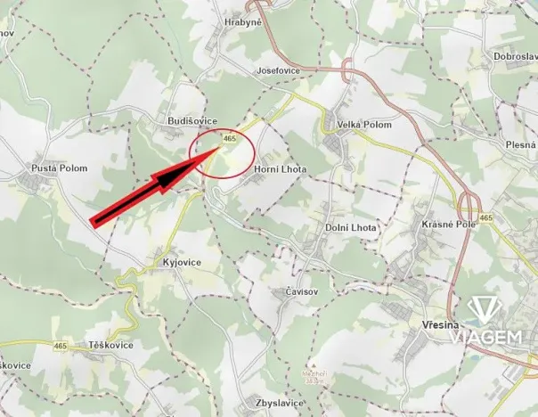 Prodej lesa, Horní Lhota, 9071 m2